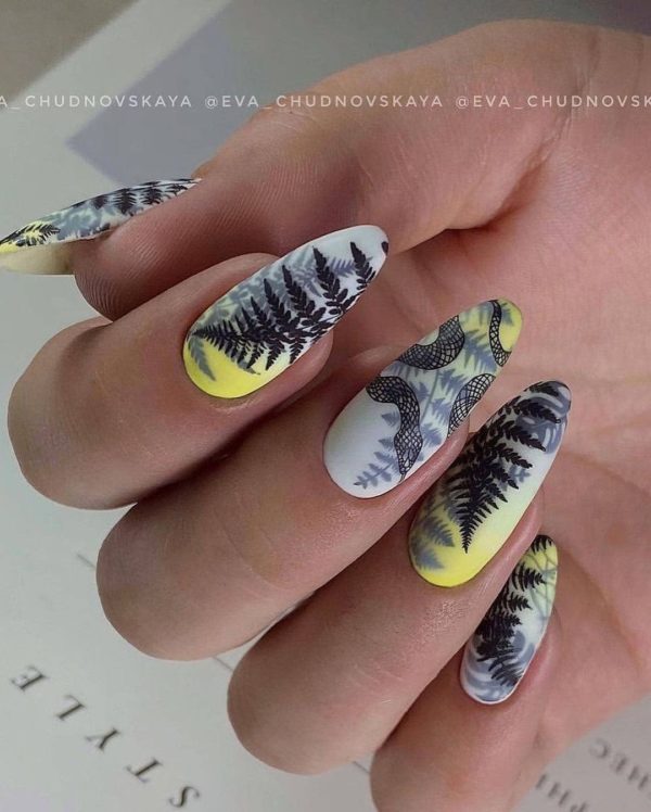 Taki Da 03 large stamping plate with demo card - www.texasnailstore.com