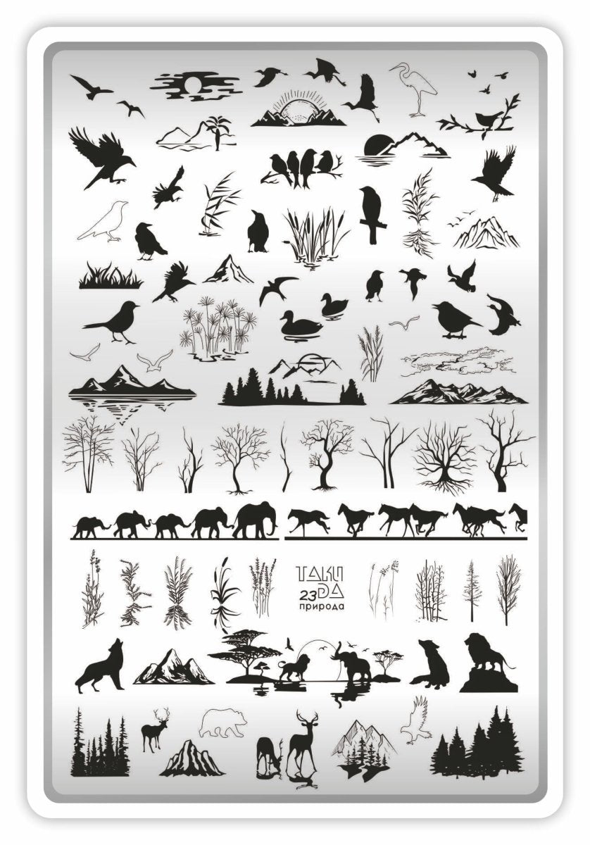 Taki Da 23 large stamping plate with demo card - www.texasnailstore.com