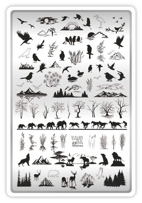 Taki Da 23 large stamping plate with demo card - www.texasnailstore.com