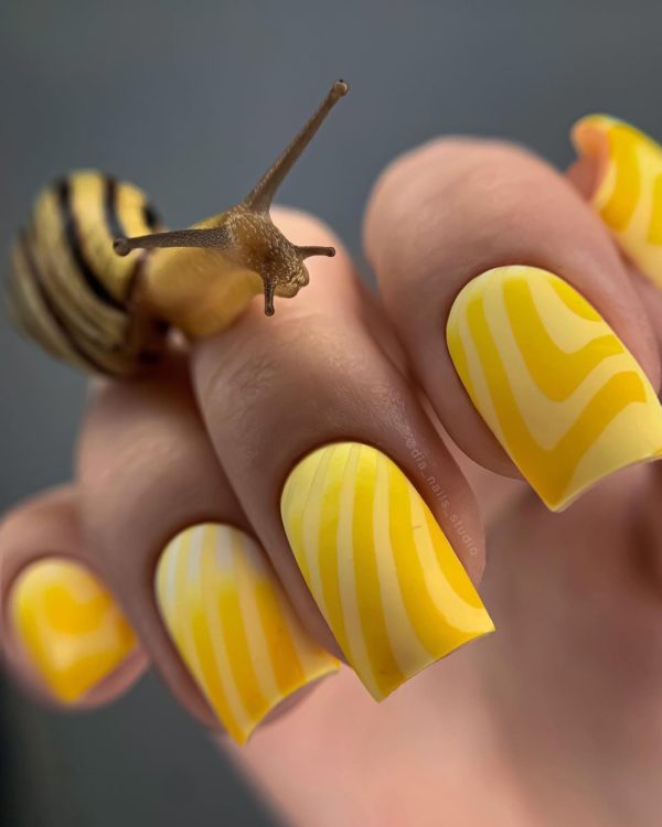 Taki Da 25 large stamping plate with demo card - www.texasnailstore.com