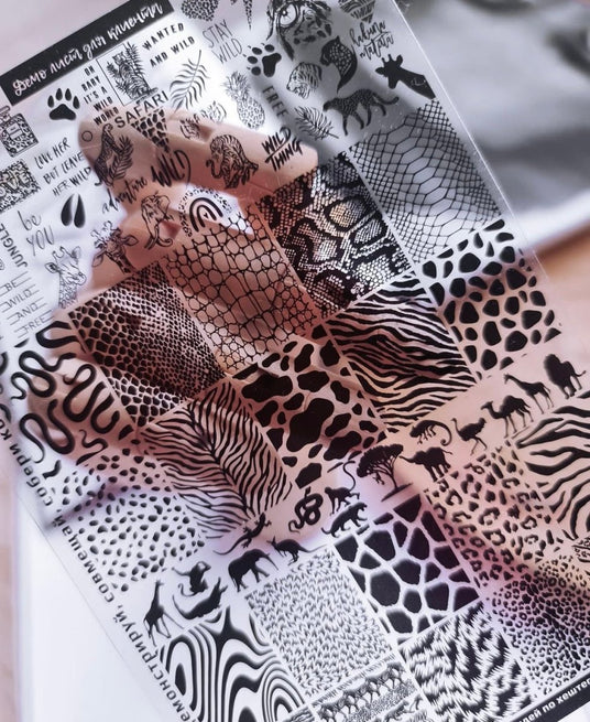 Taki Da 30 large stamping plate with demo card - www.texasnailstore.com