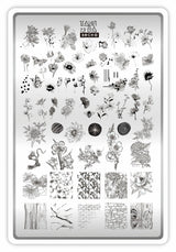 Taki Da 13 large stamping plate with demo card - www.texasnailstore.com