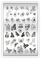 Taki Da 14 large stamping plate with demo card - www.texasnailstore.com