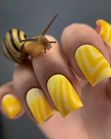 Taki Da 25 large stamping plate with demo card - www.texasnailstore.com
